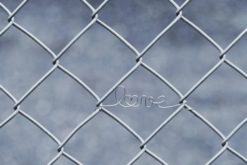 Wire Mesh Trellis